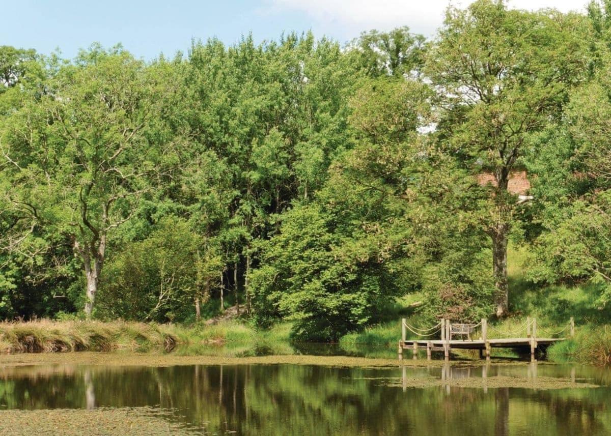 Mill Meadow Lodges Llanbister Exteriér fotografie